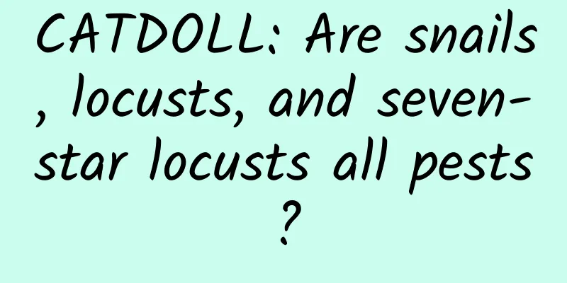 CATDOLL: Are snails, locusts, and seven-star locusts all pests?