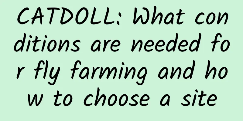 CATDOLL: What conditions are needed for fly farming and how to choose a site