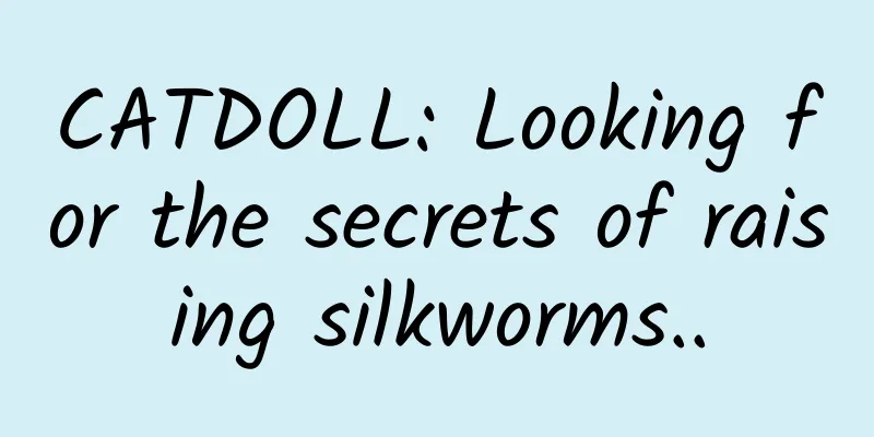 CATDOLL: Looking for the secrets of raising silkworms..