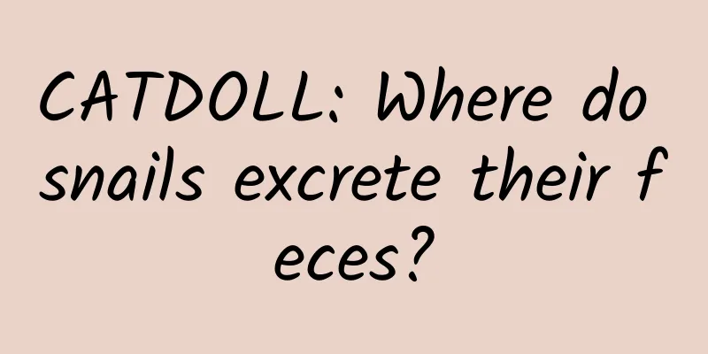 CATDOLL: Where do snails excrete their feces?