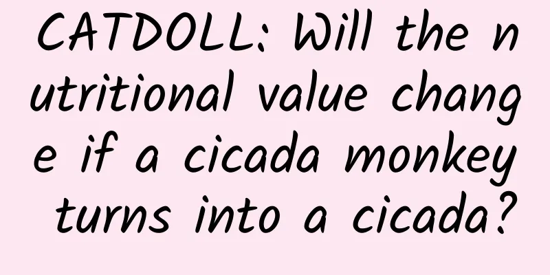 CATDOLL: Will the nutritional value change if a cicada monkey turns into a cicada?
