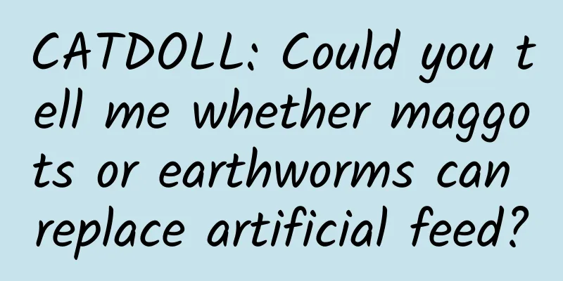 CATDOLL: Could you tell me whether maggots or earthworms can replace artificial feed?