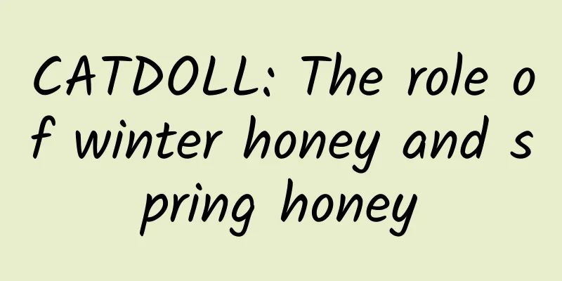 CATDOLL: The role of winter honey and spring honey