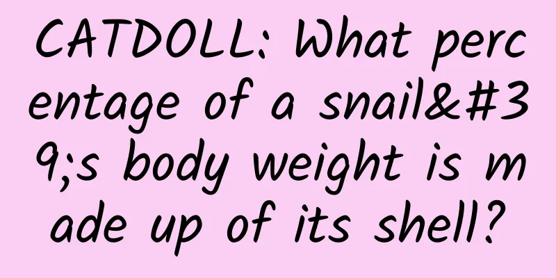 CATDOLL: What percentage of a snail's body weight is made up of its shell?