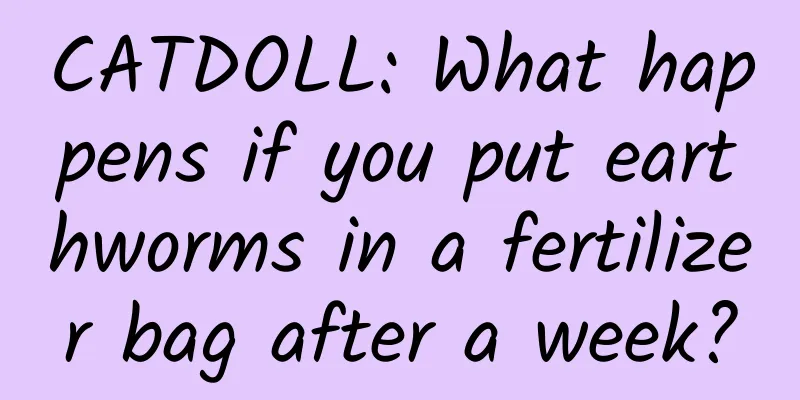 CATDOLL: What happens if you put earthworms in a fertilizer bag after a week?