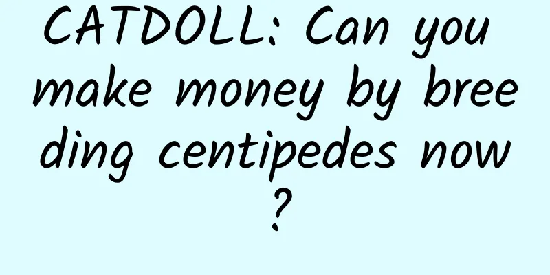 CATDOLL: Can you make money by breeding centipedes now?