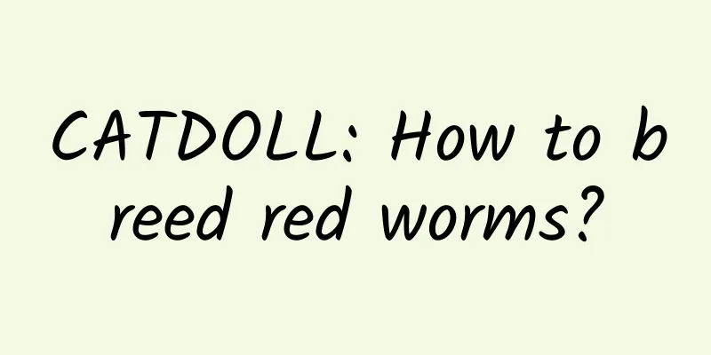 CATDOLL: How to breed red worms?