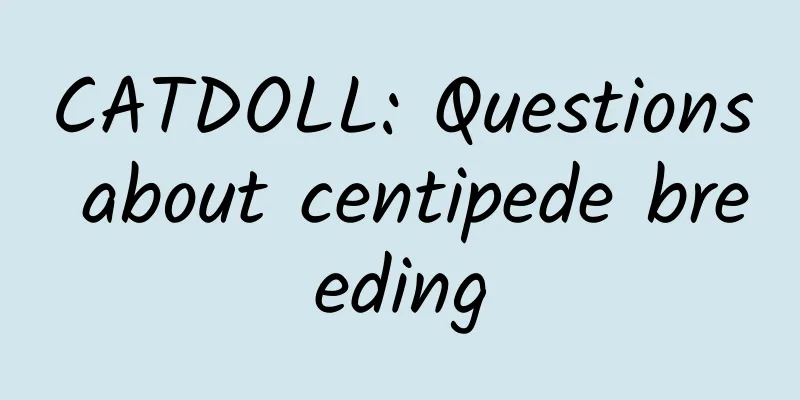 CATDOLL: Questions about centipede breeding