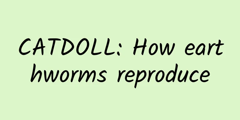 CATDOLL: How earthworms reproduce
