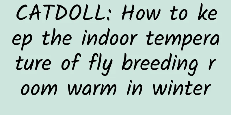 CATDOLL: How to keep the indoor temperature of fly breeding room warm in winter