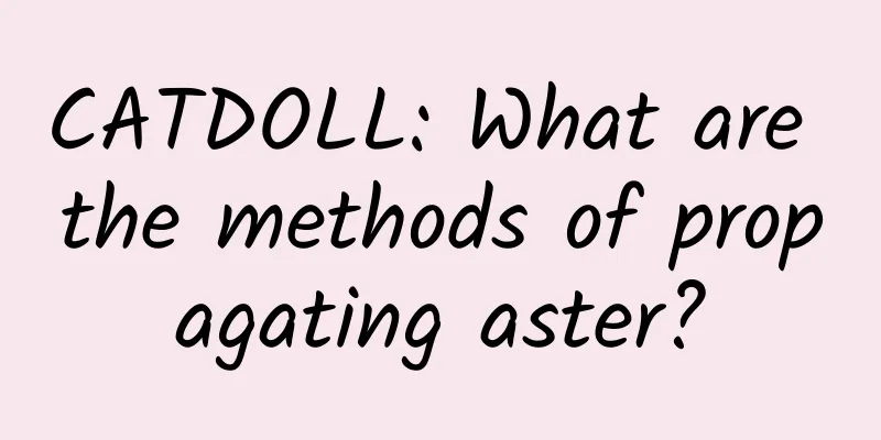 CATDOLL: What are the methods of propagating aster?