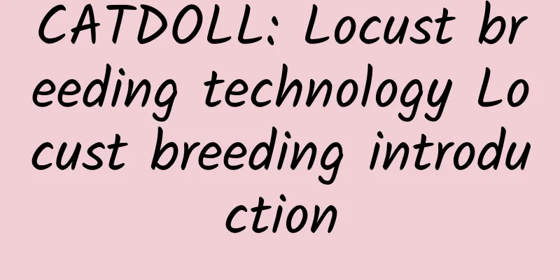 CATDOLL: Locust breeding technology Locust breeding introduction