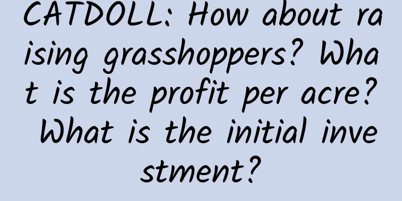 CATDOLL: How about raising grasshoppers? What is the profit per acre? What is the initial investment?
