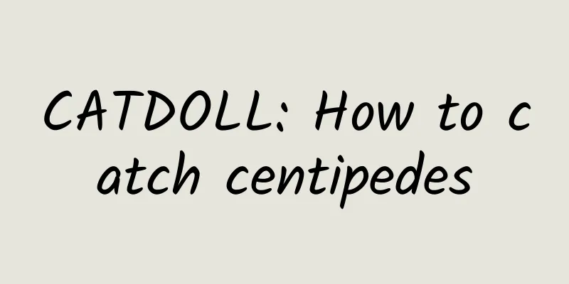 CATDOLL: How to catch centipedes