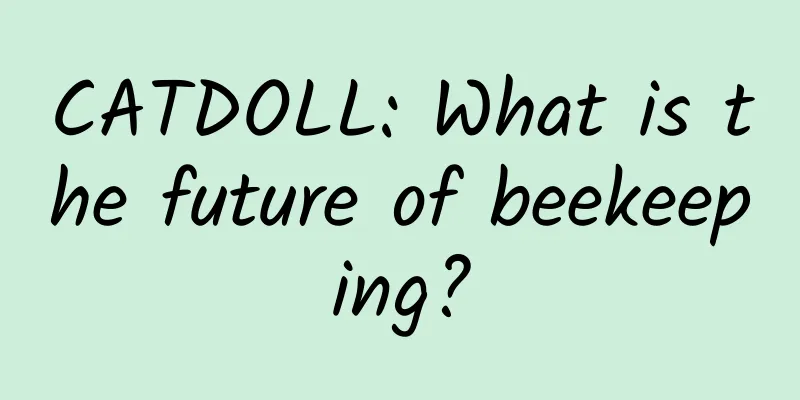 CATDOLL: What is the future of beekeeping?