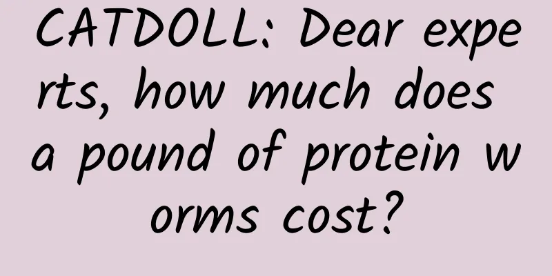 CATDOLL: Dear experts, how much does a pound of protein worms cost?