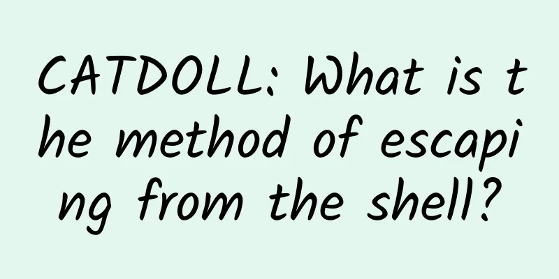 CATDOLL: What is the method of escaping from the shell?