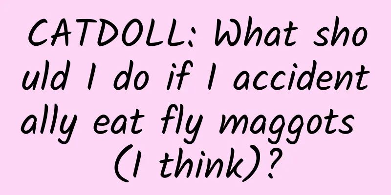 CATDOLL: What should I do if I accidentally eat fly maggots (I think)?