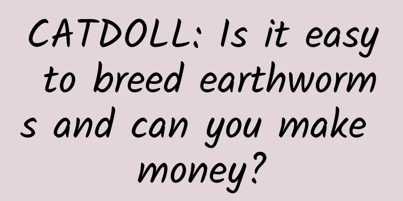 CATDOLL: Is it easy to breed earthworms and can you make money?