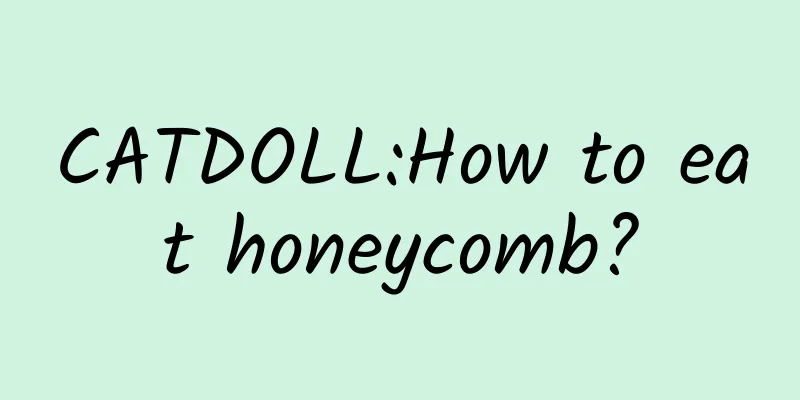 CATDOLL:How to eat honeycomb?