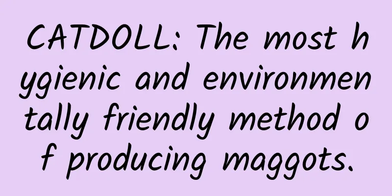 CATDOLL: The most hygienic and environmentally friendly method of producing maggots.