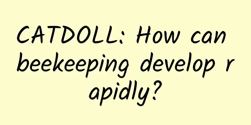 CATDOLL: How can beekeeping develop rapidly?