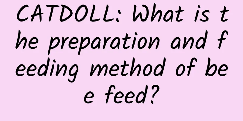 CATDOLL: What is the preparation and feeding method of bee feed?