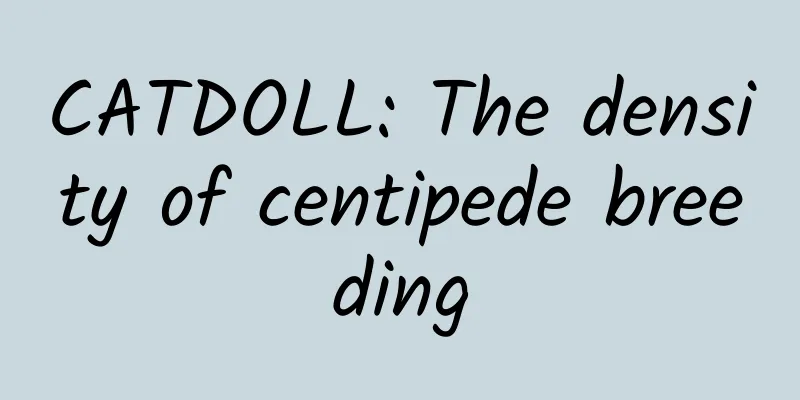 CATDOLL: The density of centipede breeding