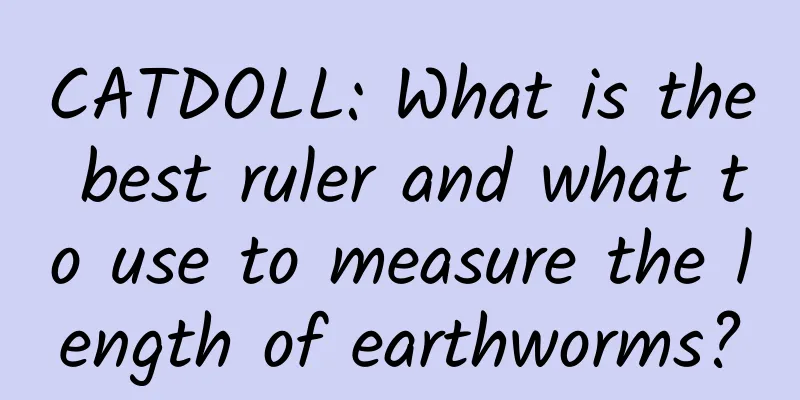 CATDOLL: What is the best ruler and what to use to measure the length of earthworms?