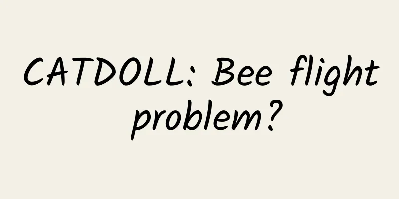 CATDOLL: Bee flight problem?