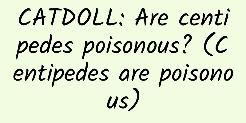 CATDOLL: Are centipedes poisonous? (Centipedes are poisonous)