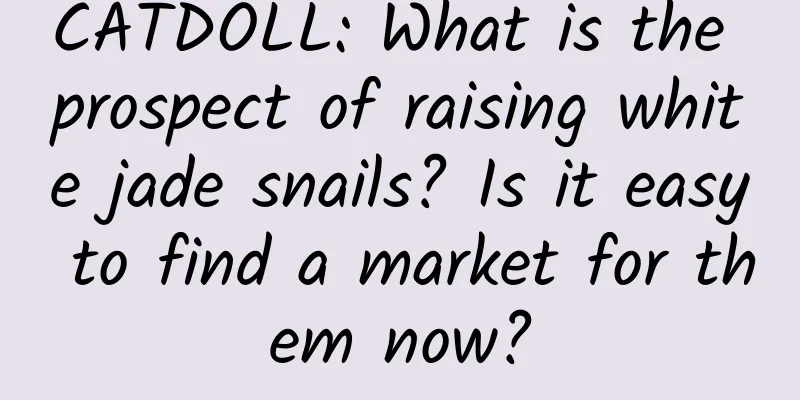 CATDOLL: What is the prospect of raising white jade snails? Is it easy to find a market for them now?