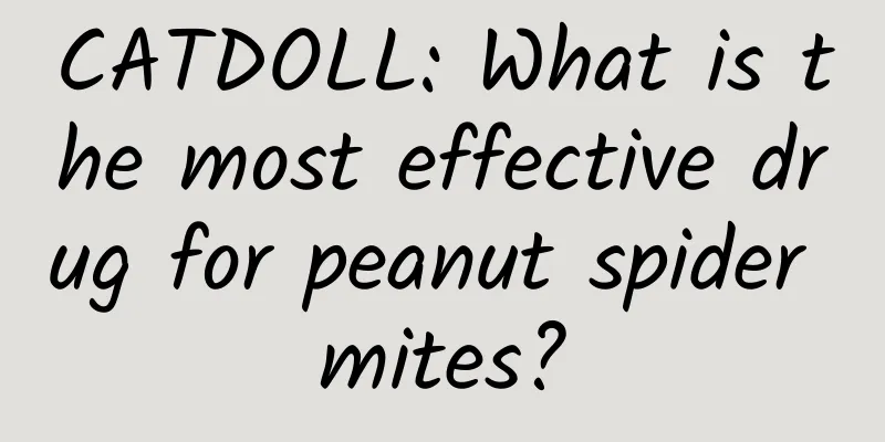 CATDOLL: What is the most effective drug for peanut spider mites?