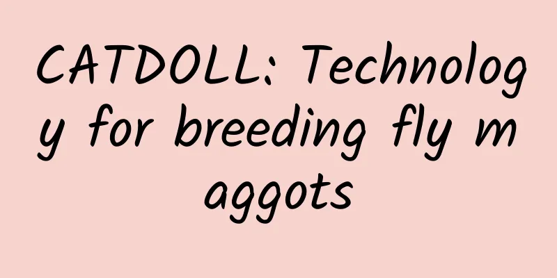 CATDOLL: Technology for breeding fly maggots