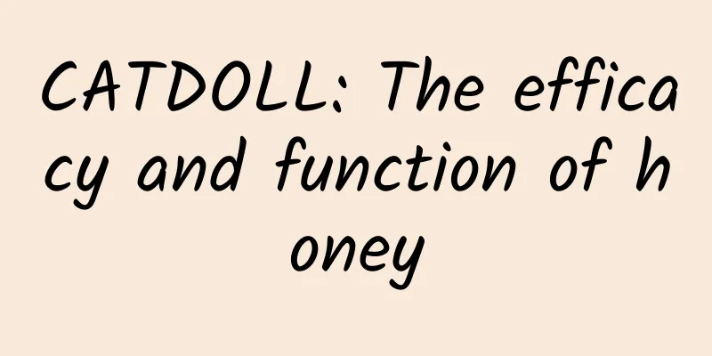 CATDOLL: The efficacy and function of honey