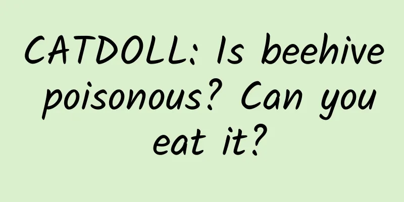 CATDOLL: Is beehive poisonous? Can you eat it?