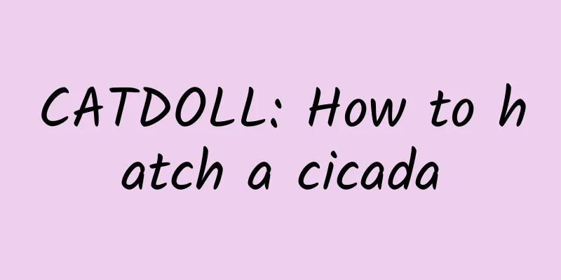 CATDOLL: How to hatch a cicada