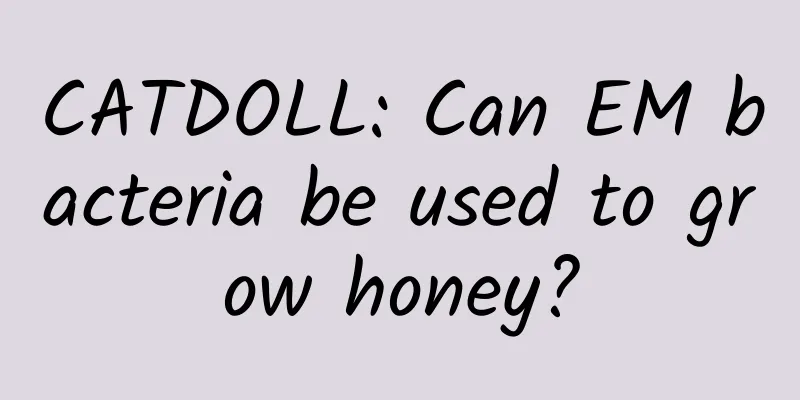CATDOLL: Can EM bacteria be used to grow honey?