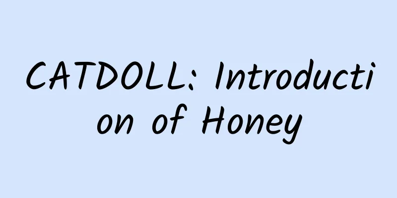 CATDOLL: Introduction of Honey