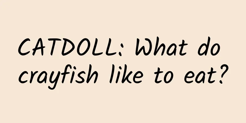 CATDOLL: What do crayfish like to eat?