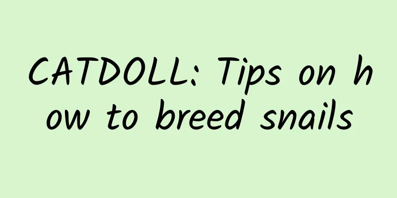CATDOLL: Tips on how to breed snails