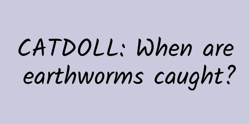 CATDOLL: When are earthworms caught?