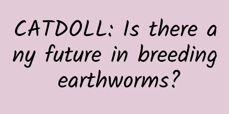 CATDOLL: Is there any future in breeding earthworms?