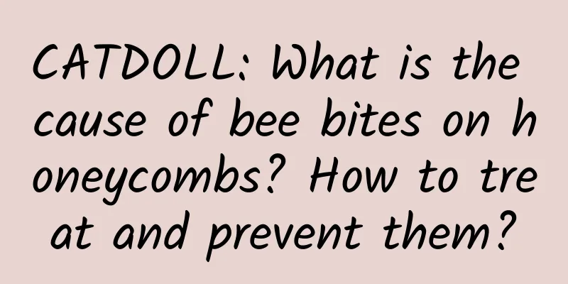 CATDOLL: What is the cause of bee bites on honeycombs? How to treat and prevent them?