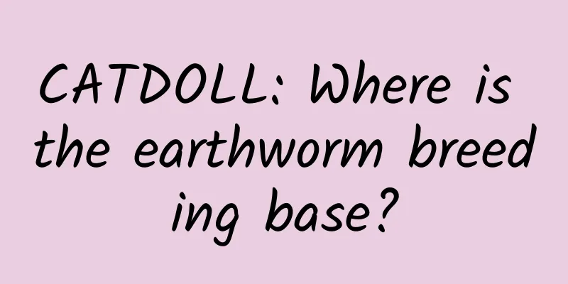 CATDOLL: Where is the earthworm breeding base?