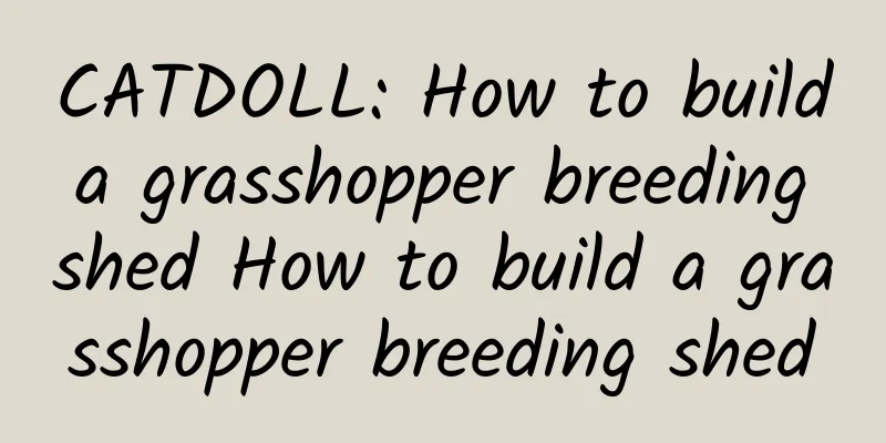 CATDOLL: How to build a grasshopper breeding shed How to build a grasshopper breeding shed
