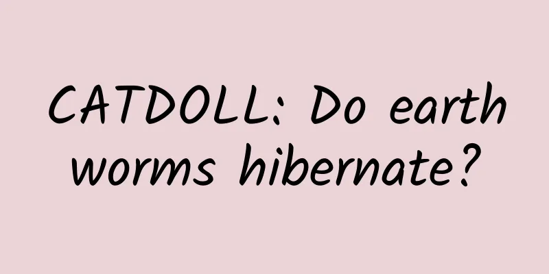 CATDOLL: Do earthworms hibernate?