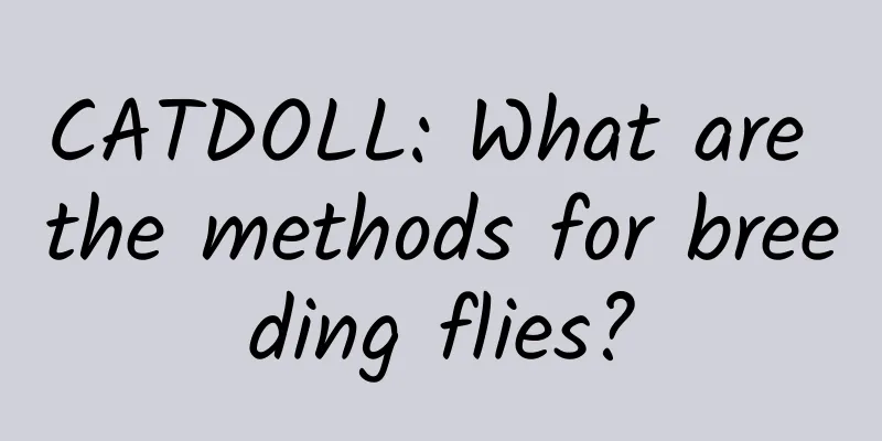 CATDOLL: What are the methods for breeding flies?