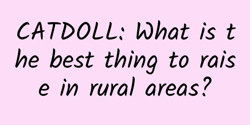 CATDOLL: What is the best thing to raise in rural areas?