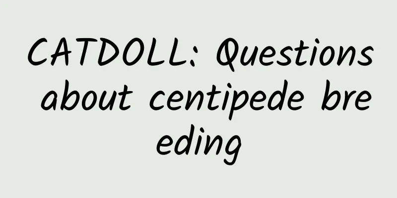 CATDOLL: Questions about centipede breeding